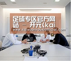 研发能力标题二